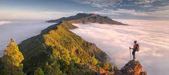 La Palma